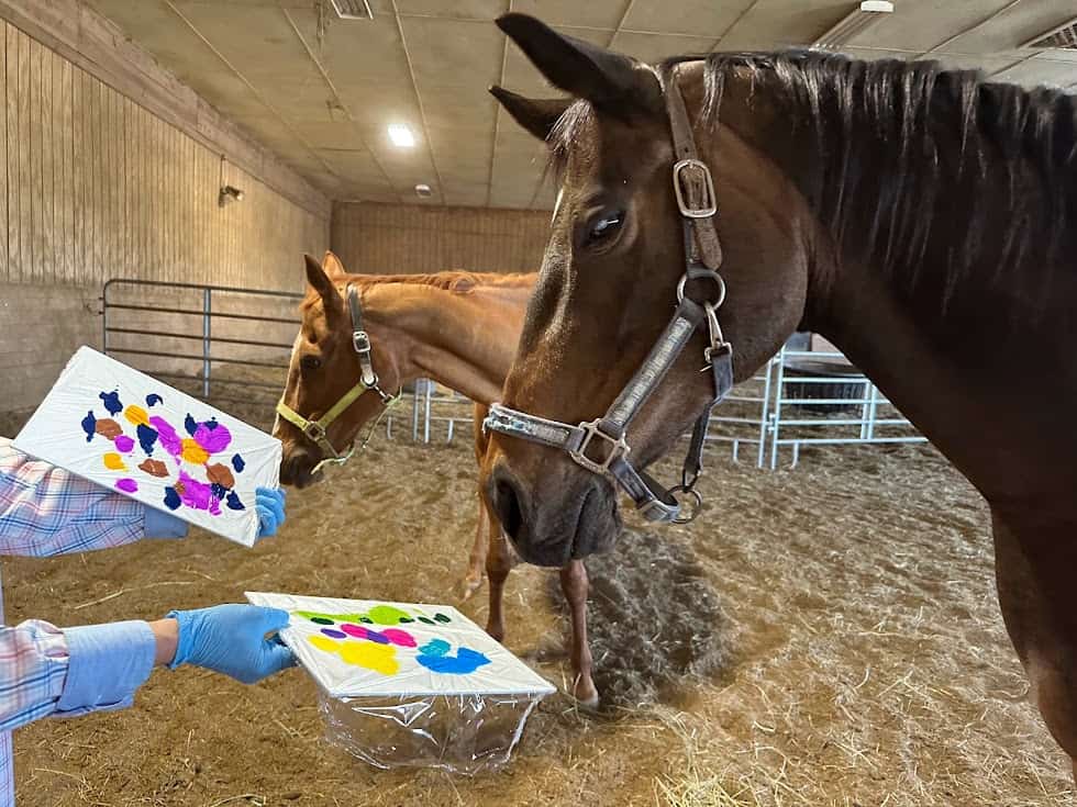 1019-RNH-A5-Column-PHOTO-Horses-of-Unbridled-1