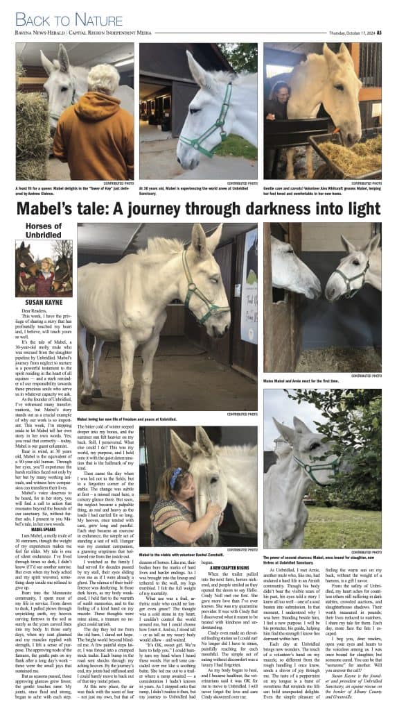 RNH 10-17-24 Unbridled